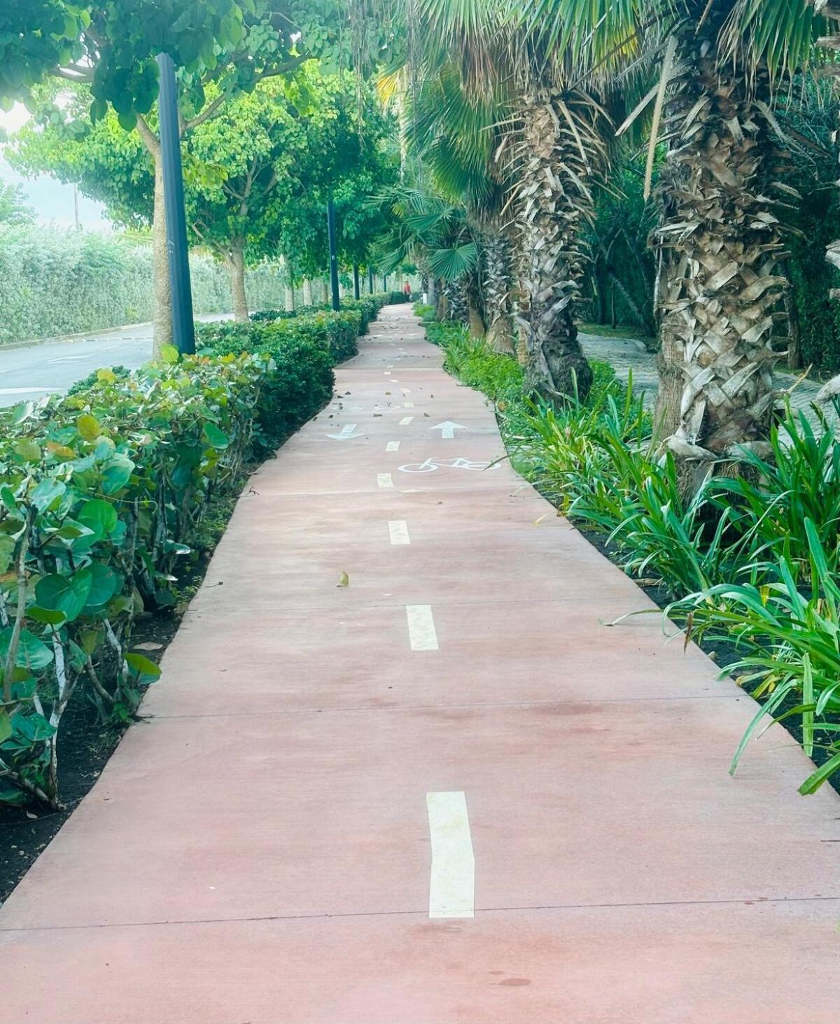 Cartagena-acogedor Morroseos Salida Directa Al Mar Apartment